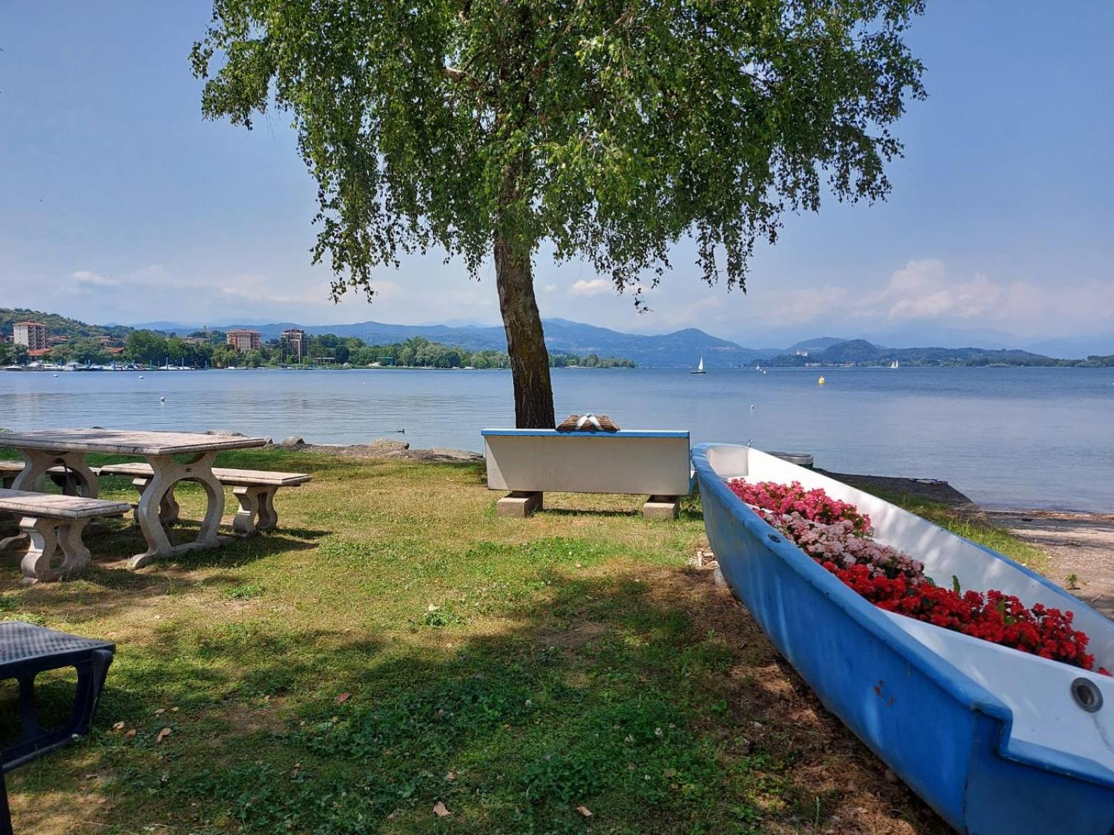 Bnbook Lago Maggiore Studio 2 Dormelletto Eksteriør billede